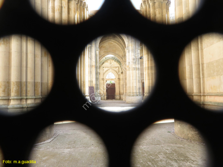 ALBA DE TORMES (252) Basilica de Santa Teresa