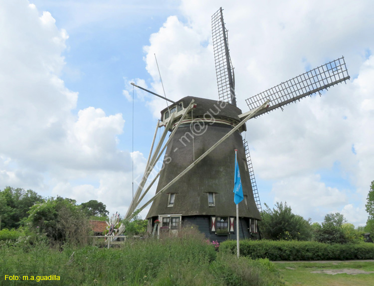 AMSTERDAM (108) Molino De Rieker