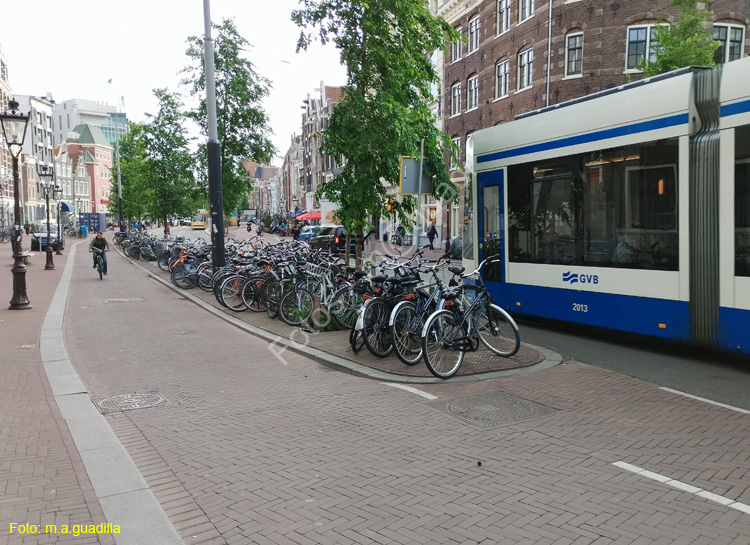 AMSTERDAM (178)