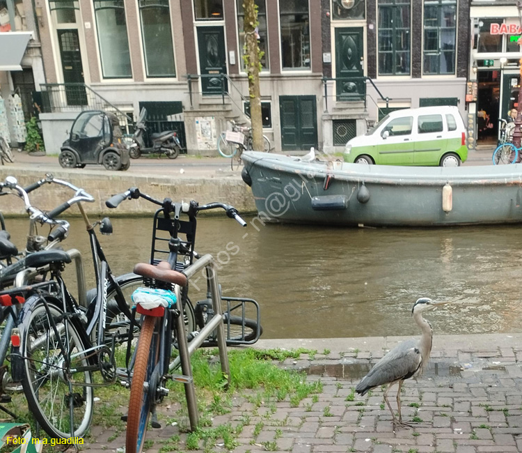 AMSTERDAM (301) Oudezijds Voorburgwal