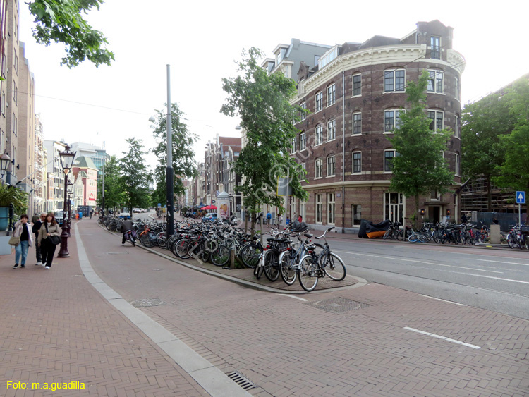 AMSTERDAM (302)