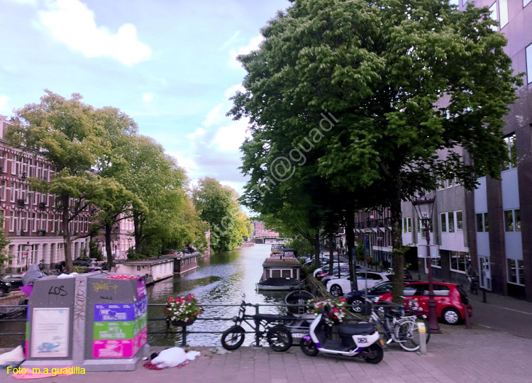AMSTERDAM (317)