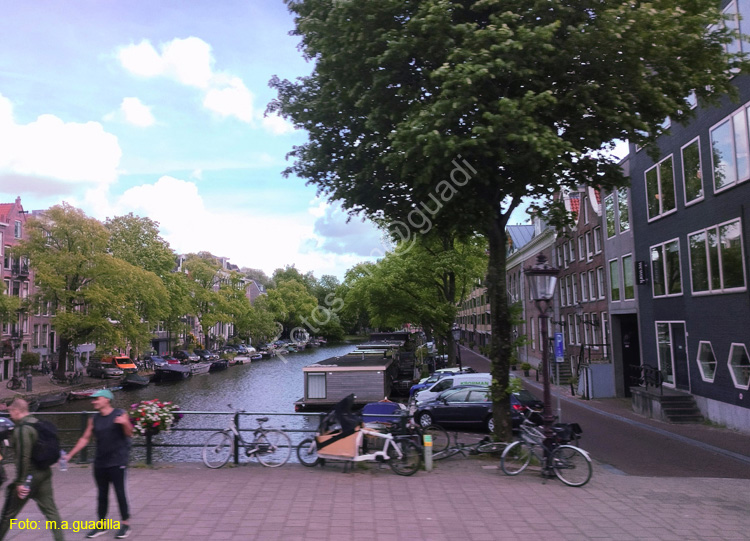 AMSTERDAM (318)