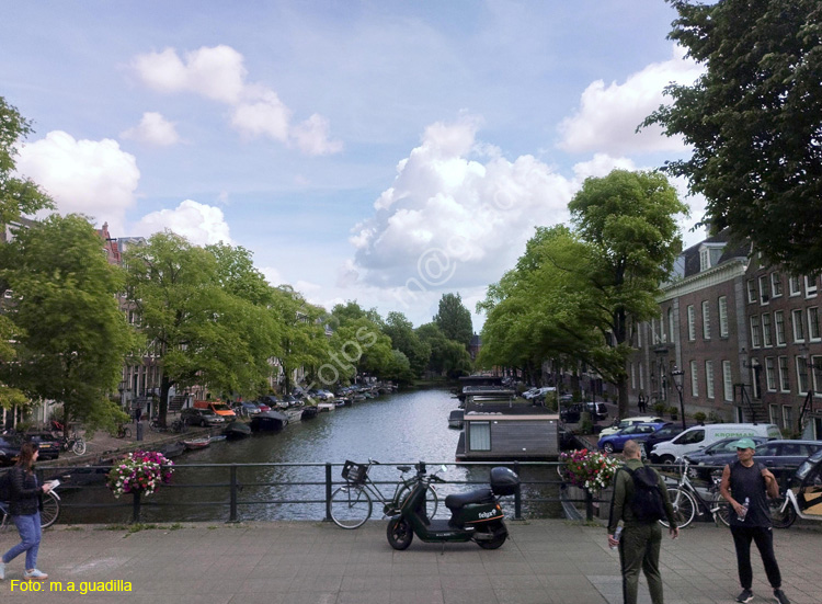 AMSTERDAM (319)