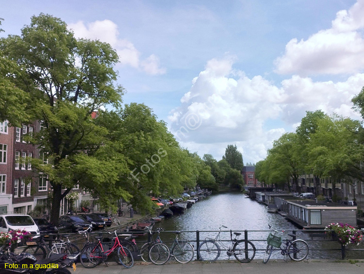 AMSTERDAM (320)