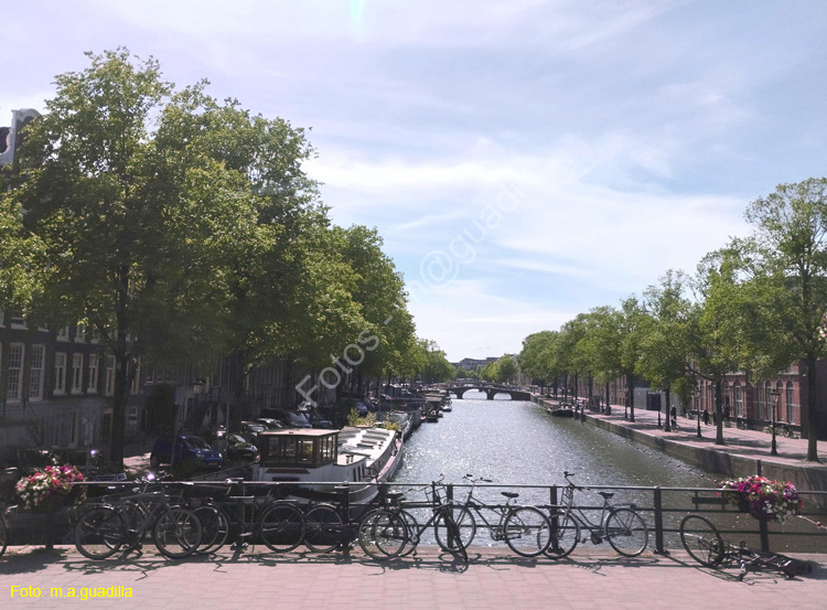 AMSTERDAM (332)