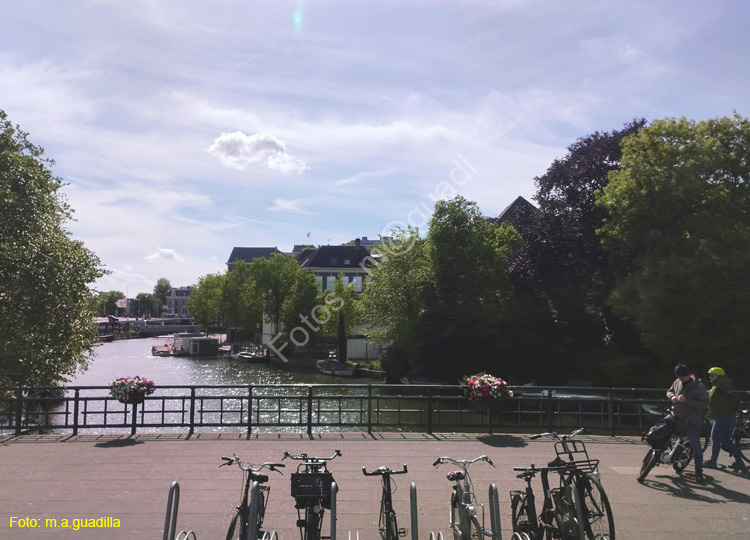 AMSTERDAM (333)