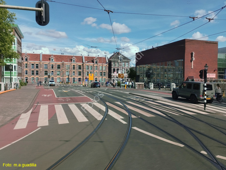 AMSTERDAM (341)