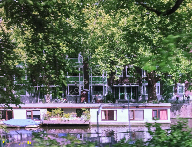 AMSTERDAM (342)