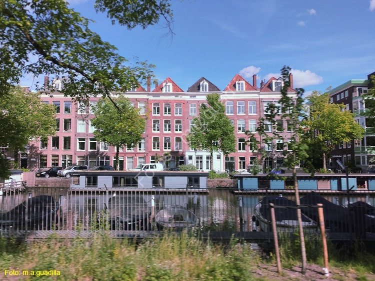 AMSTERDAM (345)
