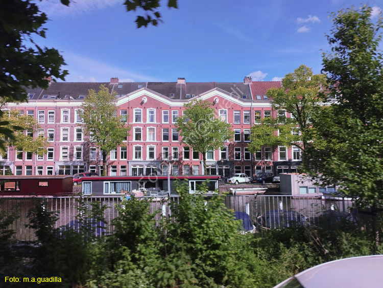 AMSTERDAM (346)