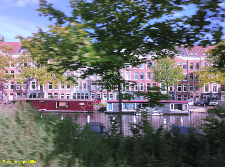 AMSTERDAM (347)