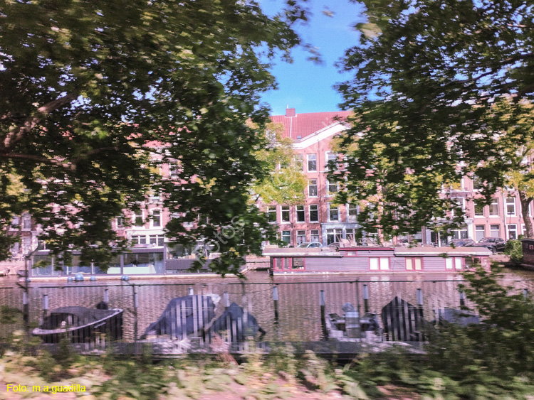 AMSTERDAM (348)