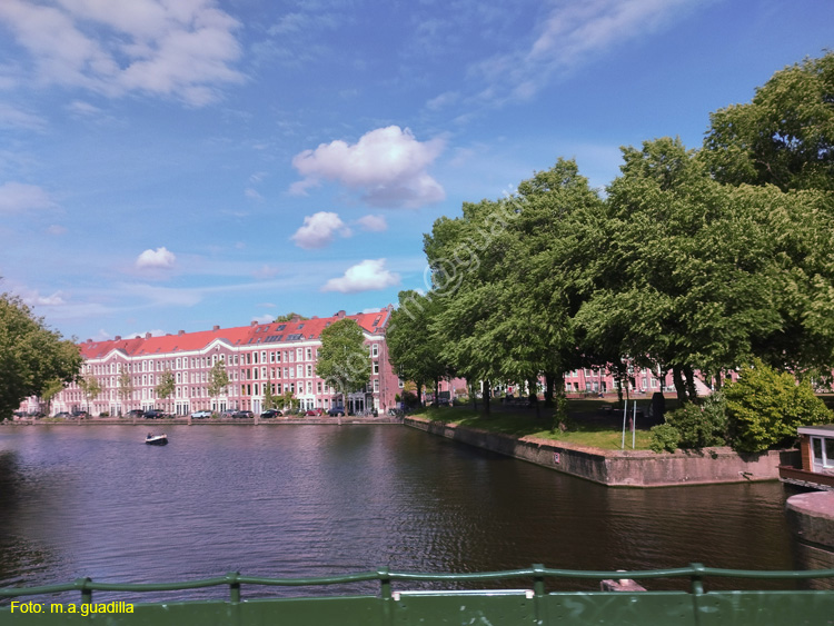 AMSTERDAM (349)