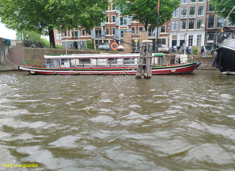 AMSTERDAM (354)
