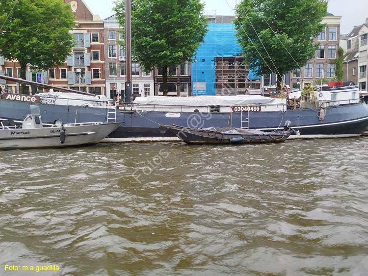 AMSTERDAM (355)