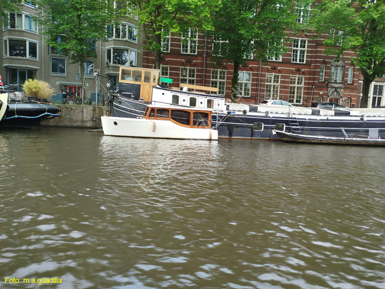 AMSTERDAM (356)