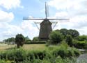 AMSTERDAM (102) Molino De Rieker