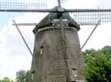 AMSTERDAM (104) Molino De Rieker