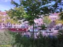AMSTERDAM (347)