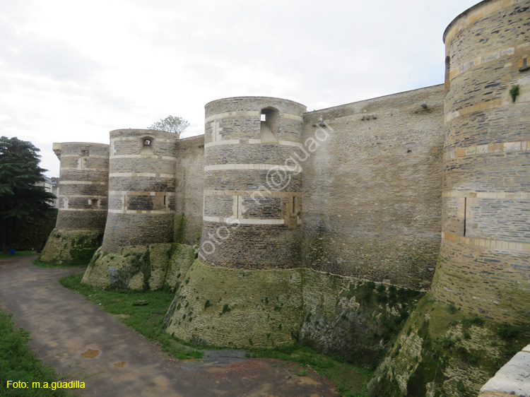 ANGERS (115) Castillo