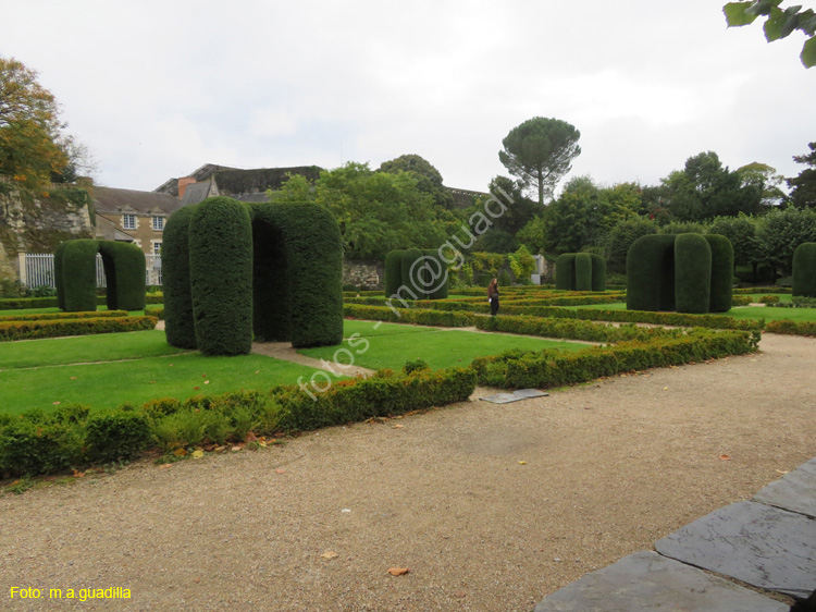 ANGERS (176) Castillo