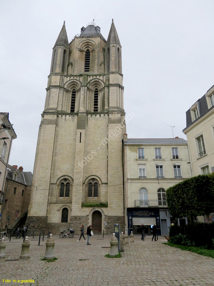 ANGERS (247) Torre de Saint Aubin