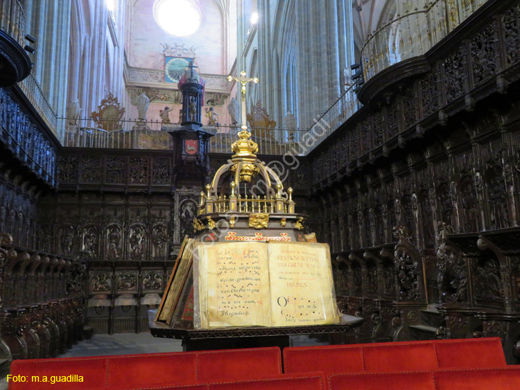 ASTORGA (146) Catedral