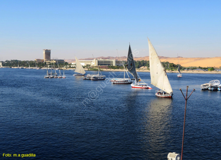 ASWAN (185) Rio Nilo