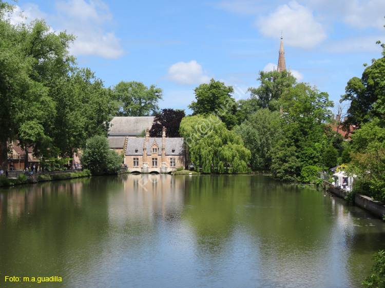 BRUJAS (102) Minnewater