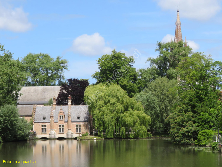 BRUJAS (103) Minnewater