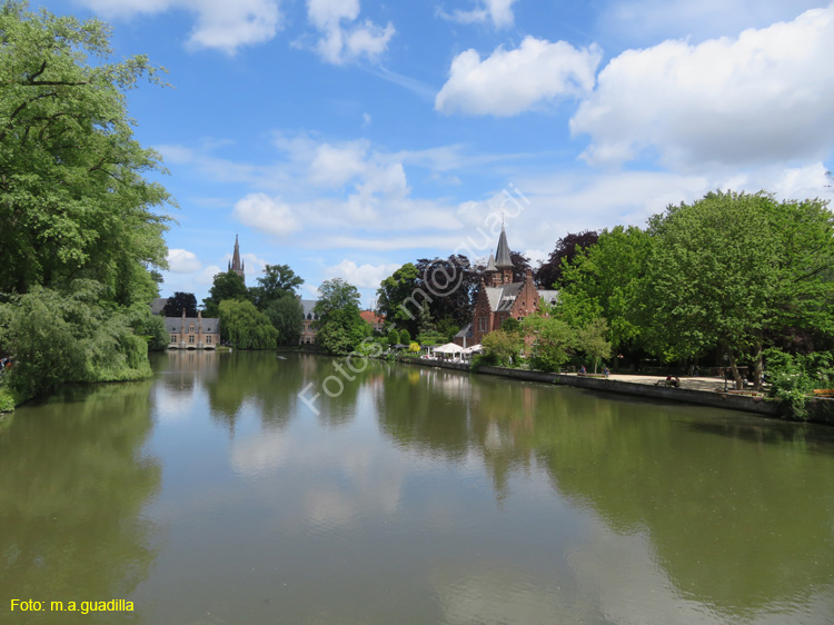 BRUJAS (106) Minnewater