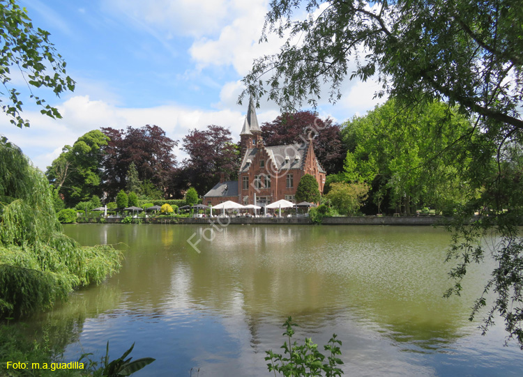 BRUJAS (107) Minnewater