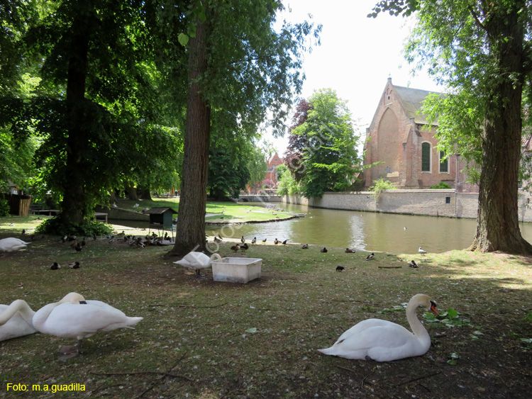 BRUJAS (126) Begijnhof - Beaterio