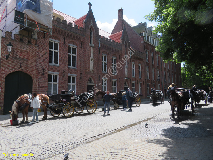 BRUJAS (134) Wijngaardplein