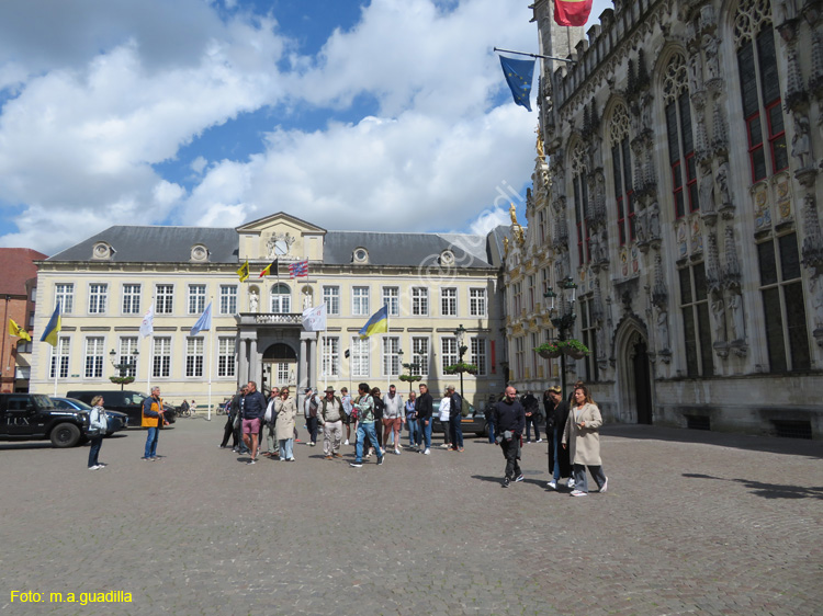 BRUJAS (205) Plaza Burg
