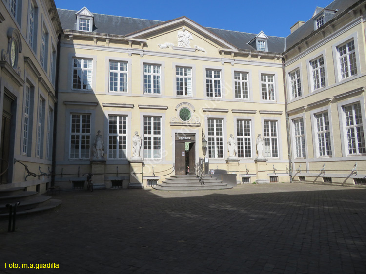 BRUJAS (220) Plaza Burg