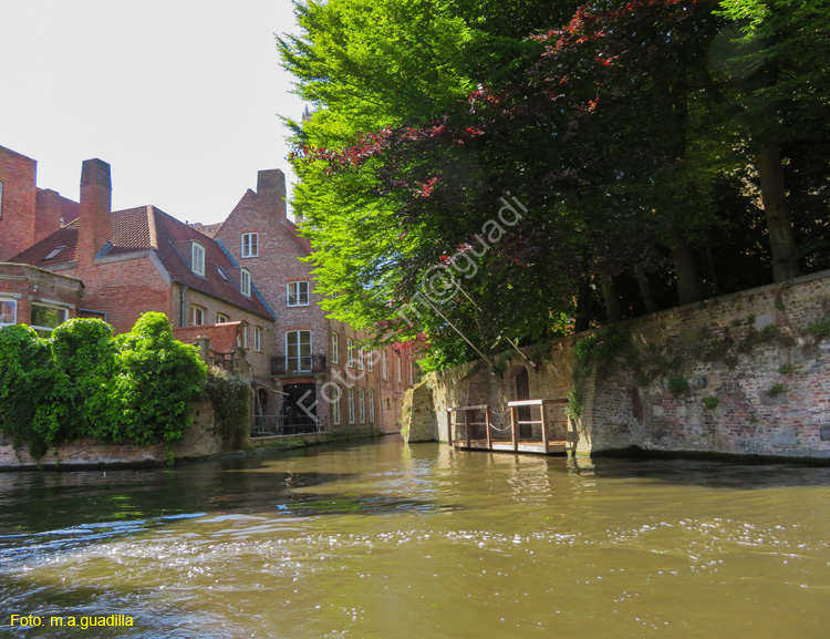BRUJAS (228) En barco por los Canales