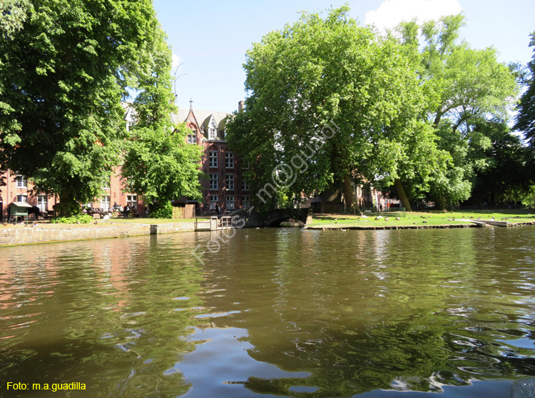 BRUJAS (259) En barco por los Canales
