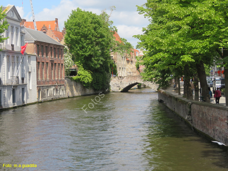 BRUJAS (281) Los canales
