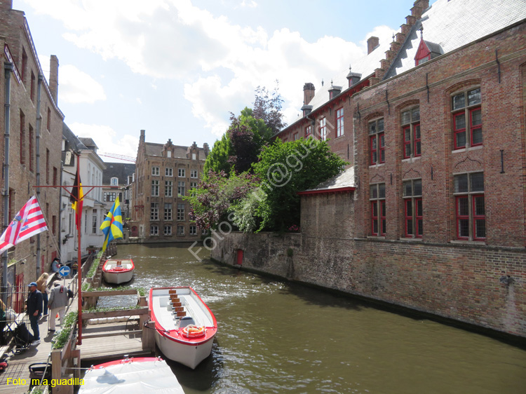 BRUJAS (282) Los canales