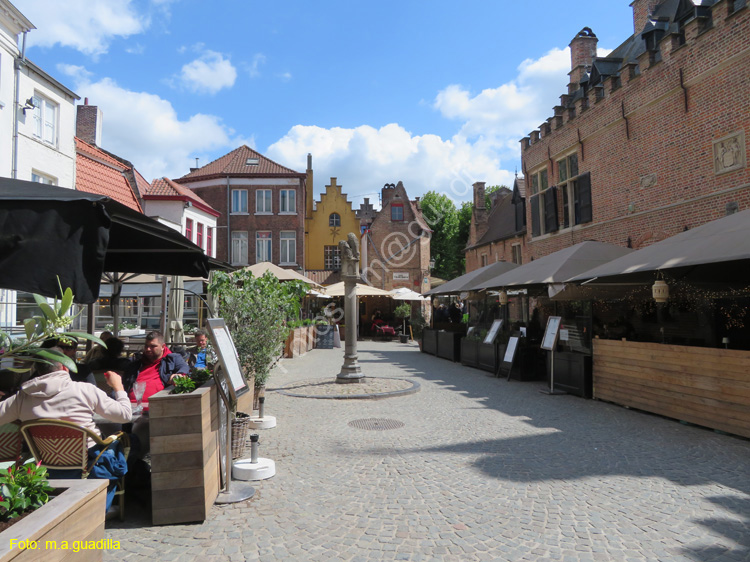 BRUJAS (283) Huidenvettersplein