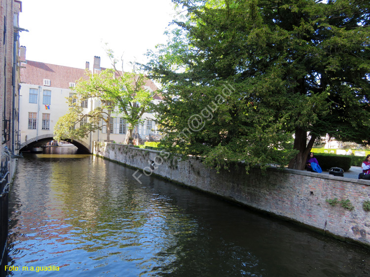 BRUJAS (308) Puente Bonifacius