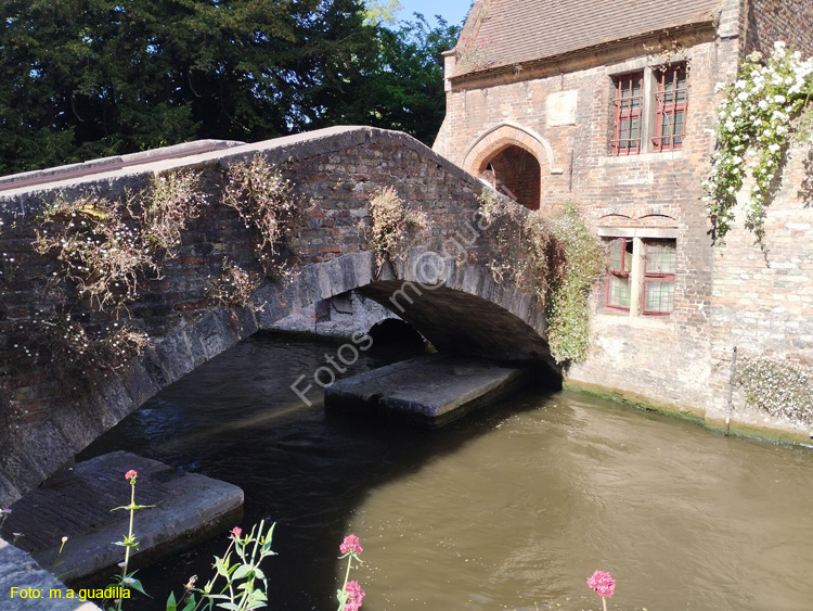 BRUJAS (309) Puente Bonifacius