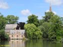 BRUJAS (103) Minnewater