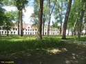 BRUJAS (119) Begijnhof - Beaterio