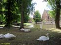 BRUJAS (126) Begijnhof - Beaterio