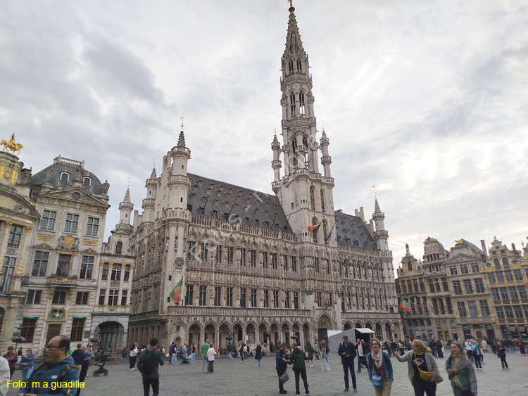 BRUSELAS (152) Grand Place