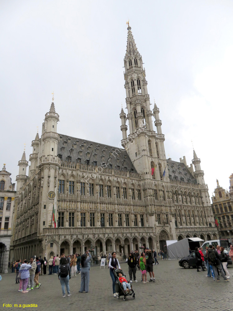 BRUSELAS (155) Grand Place