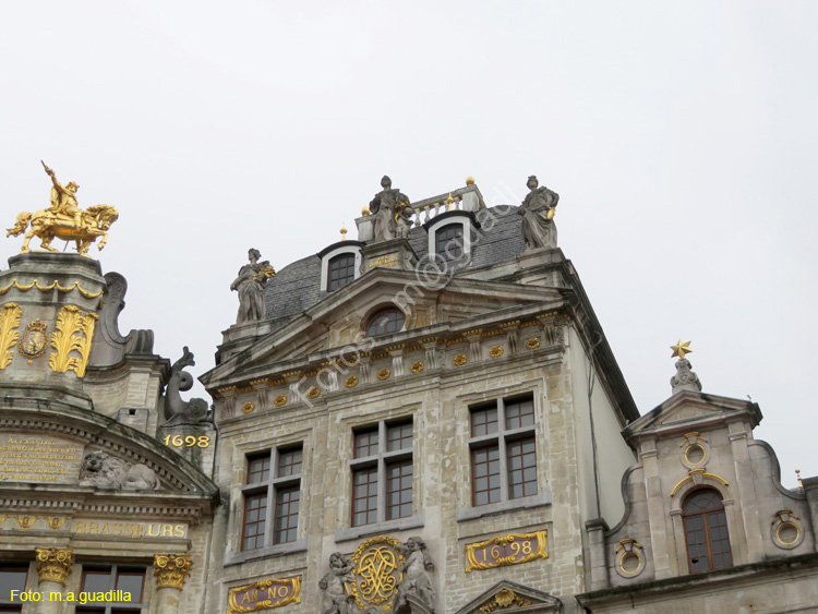 BRUSELAS (158) Grand Place
